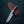 Load image into Gallery viewer, DAMASCUS STEEL FIXED BLADE KNIFE WITH WALNUT & STAG HORN HANDLE HUNTING KNIFE MINI TD-159X