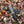Load image into Gallery viewer, Darkwood Sentinel TK-211
