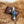 Load image into Gallery viewer, TF-005B - Dyed Blue Bone