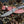 Load image into Gallery viewer, Damascus Steel Fixed Blade Knife with Walnut & Stag Horn Handle Hunting Knife TD-159
