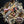 Load image into Gallery viewer, Hand forged Damascus Knife Neck Knife TD-178 Burnt Bone