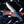 Load image into Gallery viewer, Titan Azura Custom knife/ hunting knife/ Carbon steel skinning knife/ camping/ utility knife with Blue Diamond Wood handle TC-012