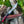 Load image into Gallery viewer, Damascus Steel Custom Flay Knife with Craved Grips TK-051