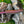 Load image into Gallery viewer, Damascus Steel Custom Flay Knife with Craved Grips TK-051