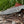 Load image into Gallery viewer, A classic all-round blade profile / Drop Point Damascus Blade TD-102