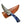 Load image into Gallery viewer, Damascus Steel Skinner Knife, Dyed Bone Grip by Titan TD-225