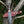 Load image into Gallery viewer, A.4 Stag Horn Hunting Knife Titan Buck Star