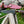 Load image into Gallery viewer, A.4 Stag Horn Hunting Knife Titan Buck Star