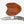 Load image into Gallery viewer, Hand-Forged Damascus Drop Point Folding Knife | Black &amp; Gold Mosaic Handle | Horizontal Carry TK-481
