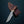 DAMASCUS STEEL FIXED BLADE KNIFE WITH WALNUT & STAG HORN HANDLE HUNTING KNIFE MINI TD-159X