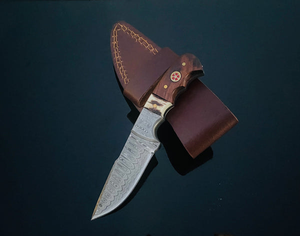 DAMASCUS STEEL FIXED BLADE KNIFE WITH WALNUT & STAG HORN HANDLE HUNTING KNIFE MINI TD-159X