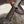 Grizzly Timberline Damascus Knife Damascus Knife TK-099  (Compact)