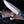 Titan Azura Custom knife/ hunting knife/ Carbon steel skinning knife/ camping/ utility knife with Blue Diamond Wood handle TC-012