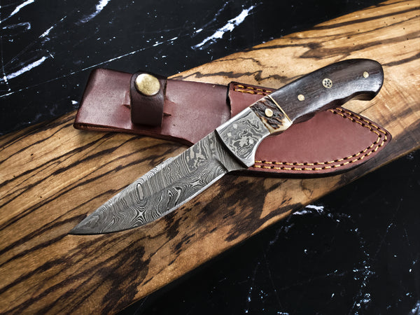 Damascus Steel Fixed Blade Knife with Walnut & Stag Horn Handle Hunting Knife TD-159