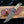 Damascus Steel Hunting Knife By Titan TD-170