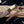 Damascus Steel Hunting Knife By Titan TD-170