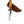 Carbon Skinning/Hunting Knife TC-59