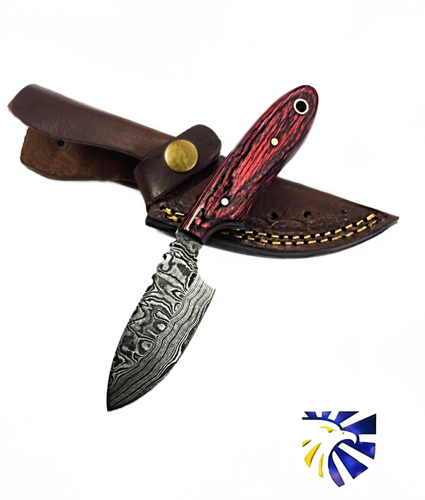 Arrival (NEW) TD-707 EDC Mini Drop point/ Handmade Damascus Steel/ Bushcraft knife/ handle with finger hole