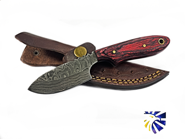 Arrival (NEW) TD-707 EDC Mini Drop point/ Handmade Damascus Steel/ Bushcraft knife/ handle with finger hole