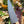 Damascus Steel Custom Cheff Knife TK-043