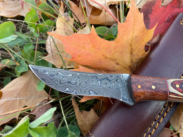 Hand forged knife, Damascus knife, Drop- Style blade, Black Walnut and Diamond Wood Scales Hunting knife by Titan TK-044 (1)