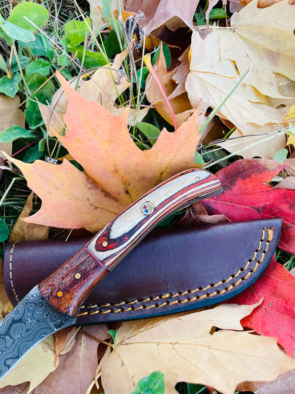 Hand forged knife, Damascus knife, Drop- Style blade, Black Walnut and Diamond Wood Scales Hunting knife by Titan TK-044 (1)