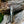 Damascus Steel Folding Knife Wolf Engraved TF-084