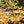 Carbon Skinning/Hunting Knife TC-59