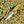 Carbon Skinning/Hunting Knife TC-59