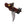Damascus Steel Skinner Knife, Rosewood Grip BY TITAN TD-178