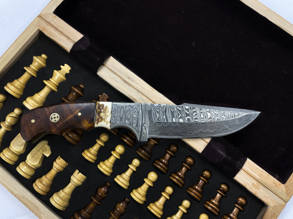 Damascus Steel Fixed Blade Knife with Walnut & Stag Horn Handle Hunting Knife TD-159