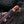 Custom /Titan Spade/ Damasucs Steel Hunting Knife (SPADE)