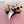 Mini Carbon Steel Neck Knife – Black Walnut Handle, Everyday Carry TC-053