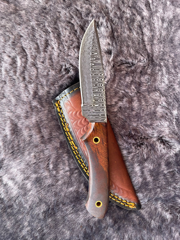 Arrival TD-316 Black Walnut Damascus Hunting Knife
