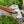 Arrival - Cherokee Style Damascus Peace Pipe