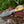 A classic all-round blade profile / Drop Point Damascus Blade TD-102
