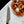 Damascus Steel Steak Knife (Steak Knife)