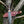 A.4  Stag Horn Hunting Knife Titan Buck Star